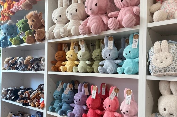 Children's Retail & E-Commerce Business - Leek Photo 3