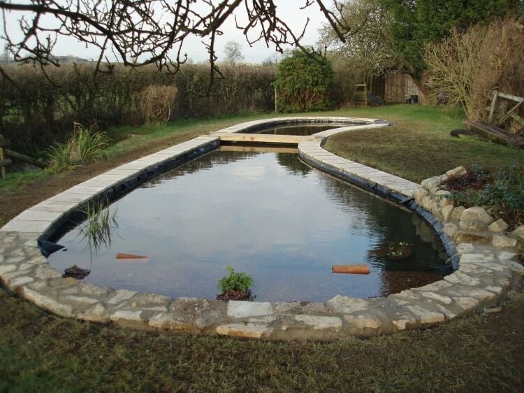 GARDEN POND MAINTENANCE & INSTALLATION Photo 3