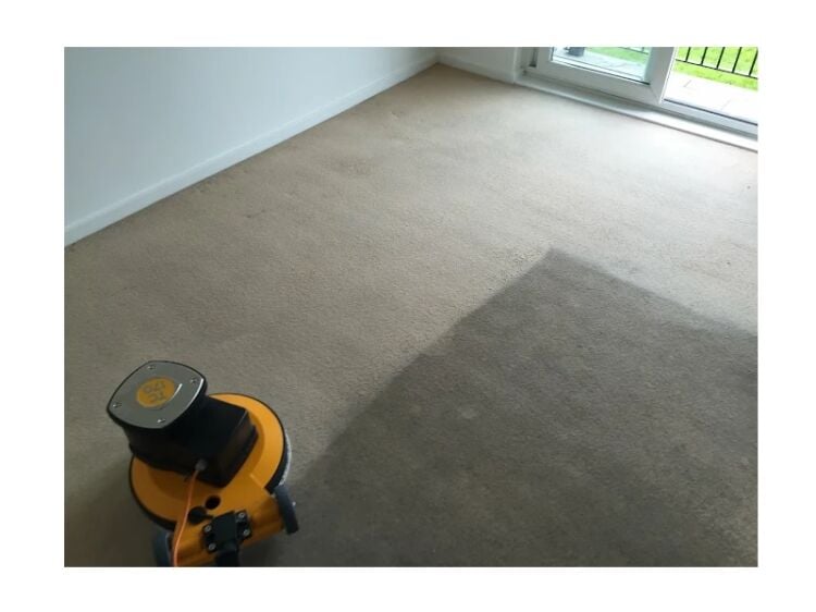 Bring Surfaces Back to Life – Thriving Carpet & Upholstery Cleaning Business Photo 3