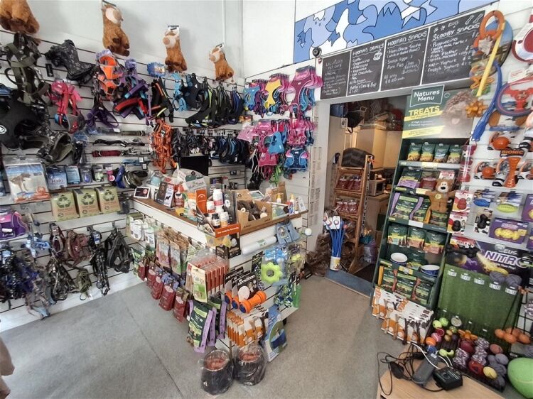 Pets, Supplies & Services For Sale in Leeds Photo 3