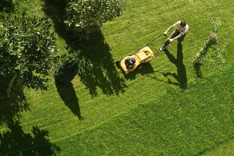 Established Relocatable Gardening Business Photo 3