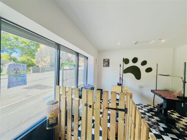 Pets, Supplies & Services For Sale in Brighouse
