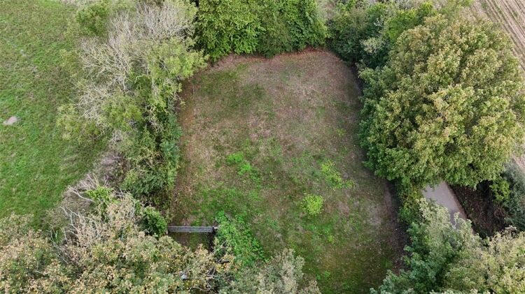 Auction Lot: Building Plot at South Milton, Kingsbridge, Devon For Sale in Kingsbridge Photo 3