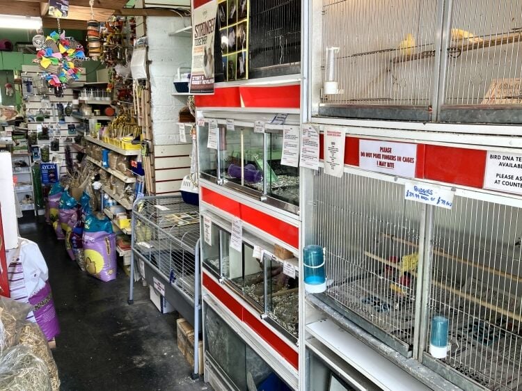 INVESTMENT PROPERTY/DEVELOPMENT OPPORTUNITY/EMPTY RETAIL PREMSIES Photo 3