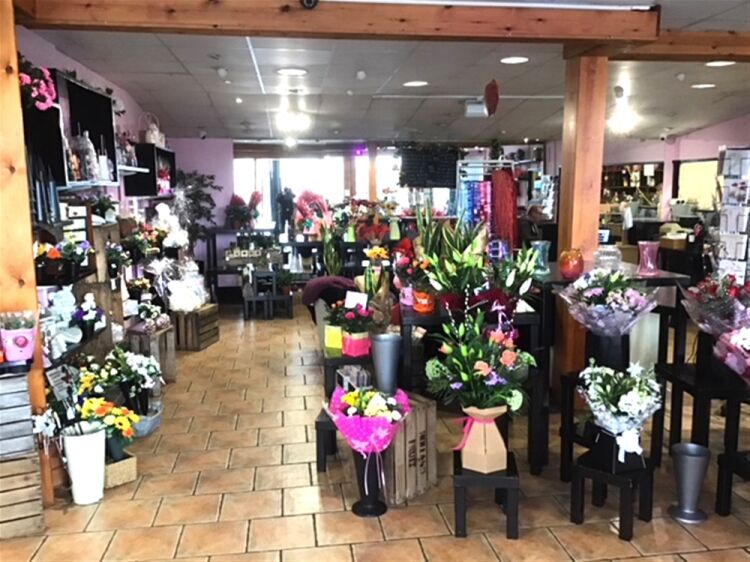 WELL ESTABLISHED FLORIST - CUMBRIA