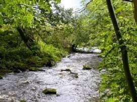 Exceptionally Well Run Holiday Lettings Business