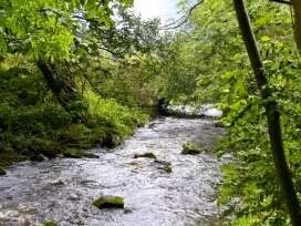 Exceptionally Well Run Holiday Lettings Business Photo 4