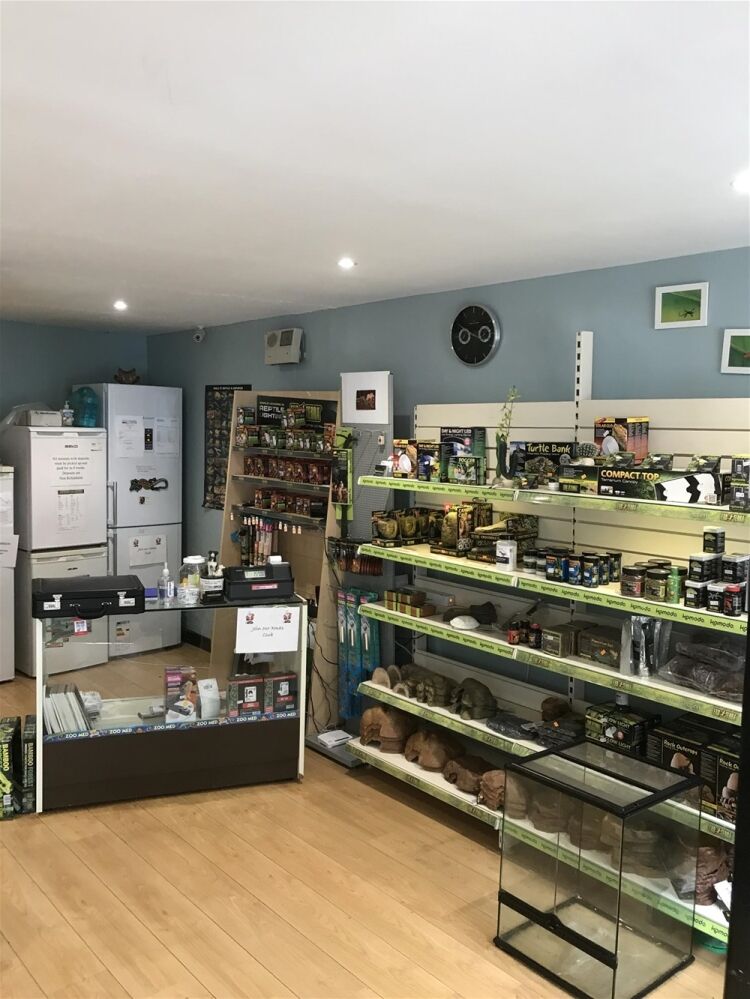 EXOTIC LIVE PETS EMPORIUM IN DUNDEE SUBURB