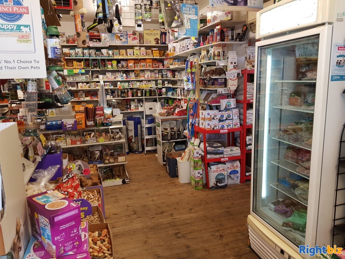 Pet Shop for Sale, Investment opportunity