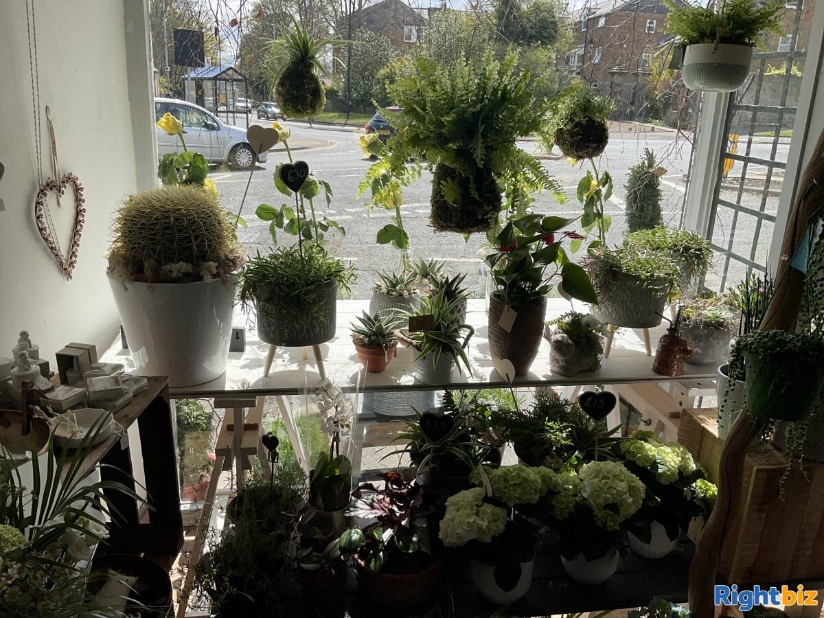 Well Established Florist / Giftware Shop
