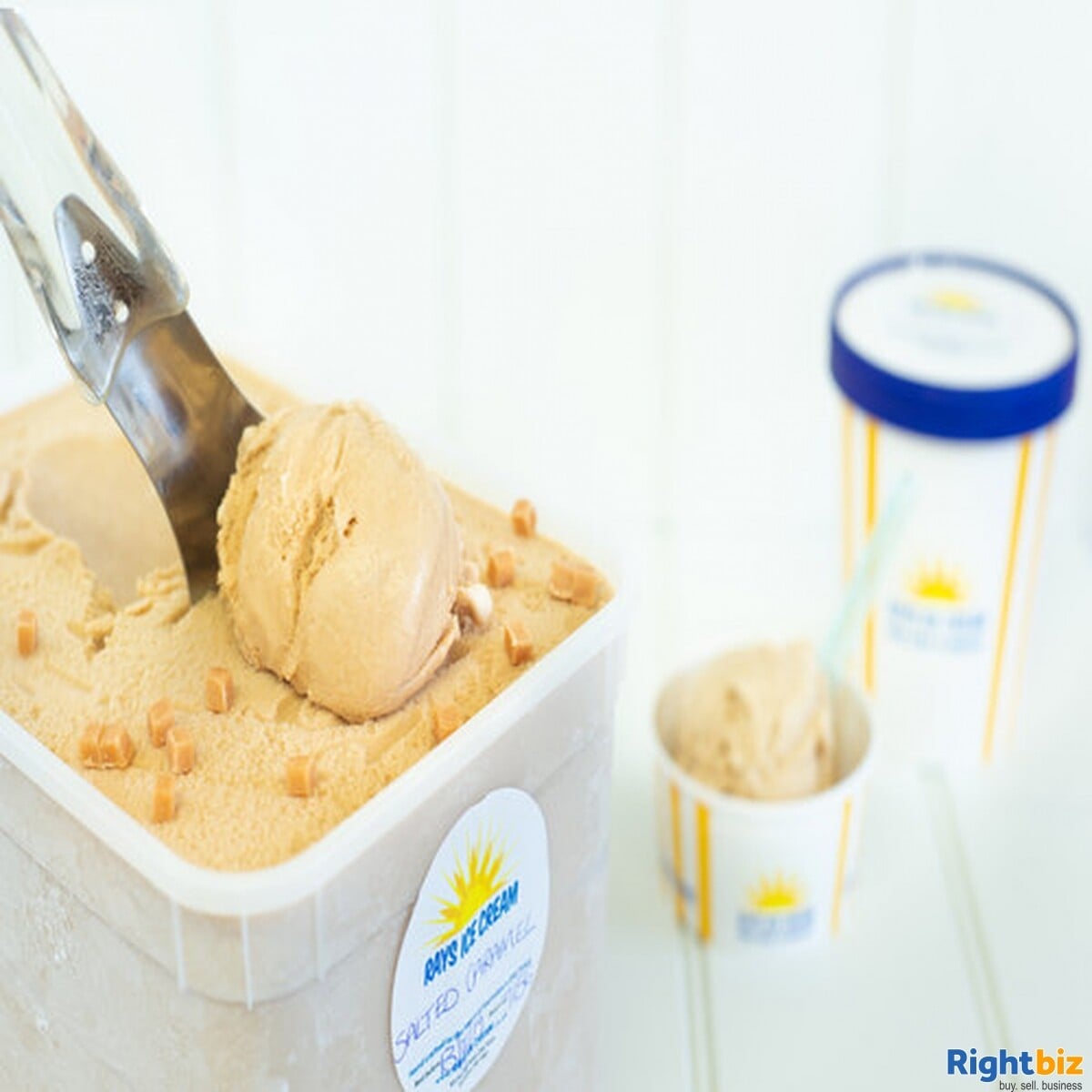 Growing, premium ice cream business - parlour, manufacturing, wholesale, events