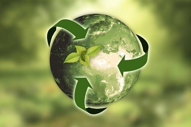 Waste Management Services for sale in London