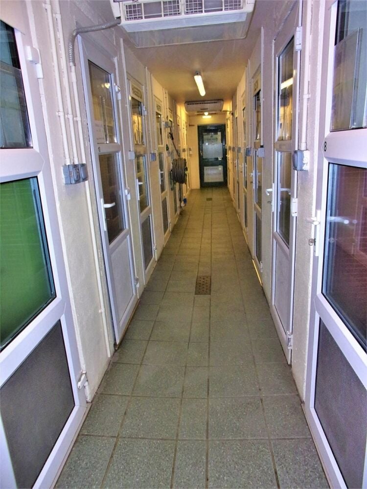 Kennels, Cattery & Equestrian businesses For Sale in Morpeth Photo 4