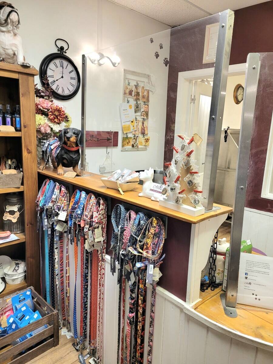 DOG GROOMING BUSINESS FOR SALE, Henfield, West Sussex
