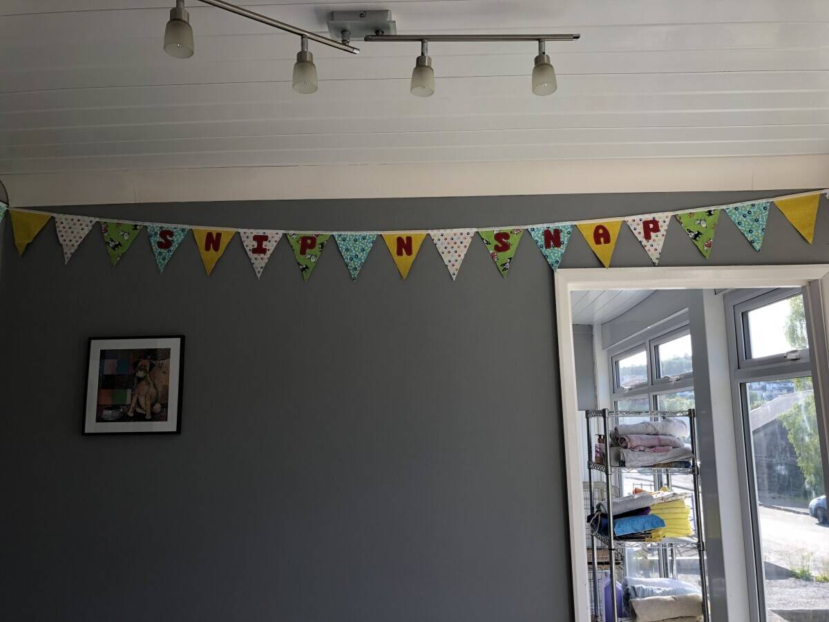 Dog grooming business for sale in Tavistock, Devon Photo 4