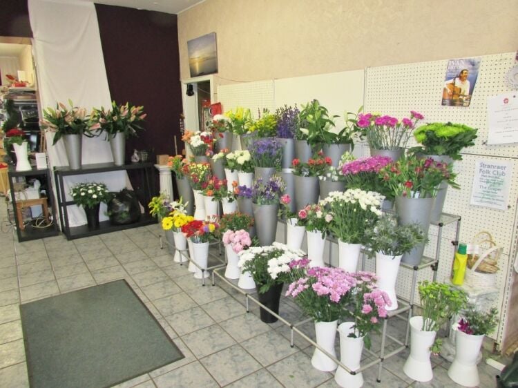 Busy Florist Business/Investment Opportunity Photo 4