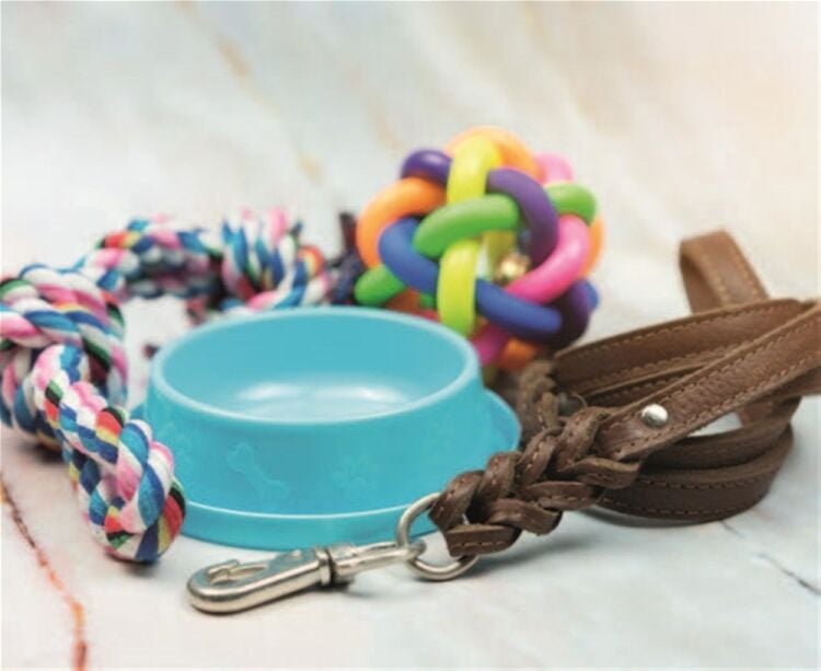SUPPLIER OF VARIOUS PET GOODS Photo 4