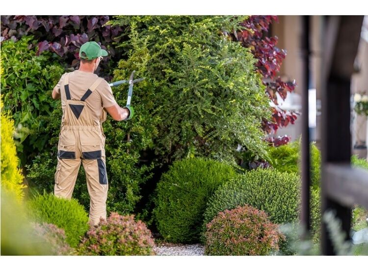 Highly rated garden services business for sale Photo 4