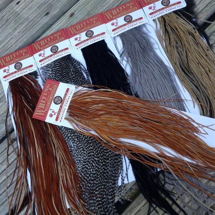 A SPECIALIST FISHING E-COMMERCE BUSINESS