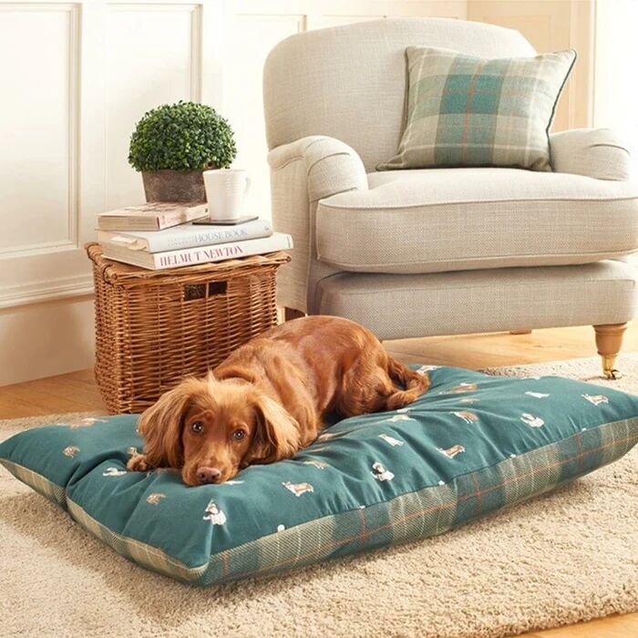 Luxury Ecommerce Business with Trademarks Specialising in Pet Products