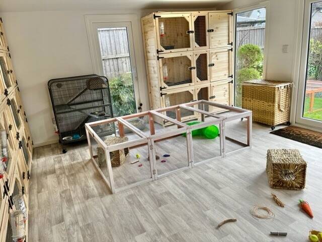 Home-Based Small Pet Boarding Hotel for Sale in Erith, Kent