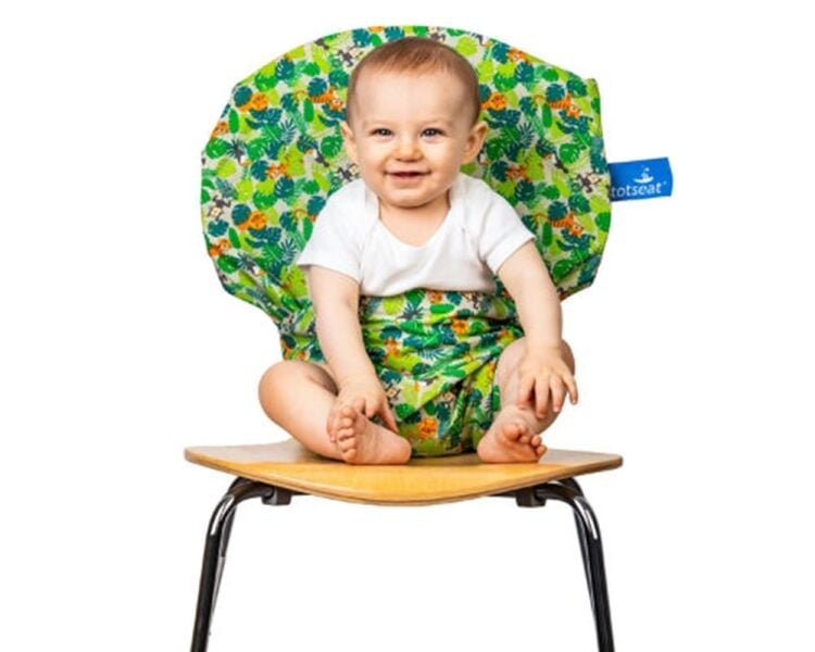 A PROVIDER OF ESSENTIAL BABY TRAVEL PRODUCTS