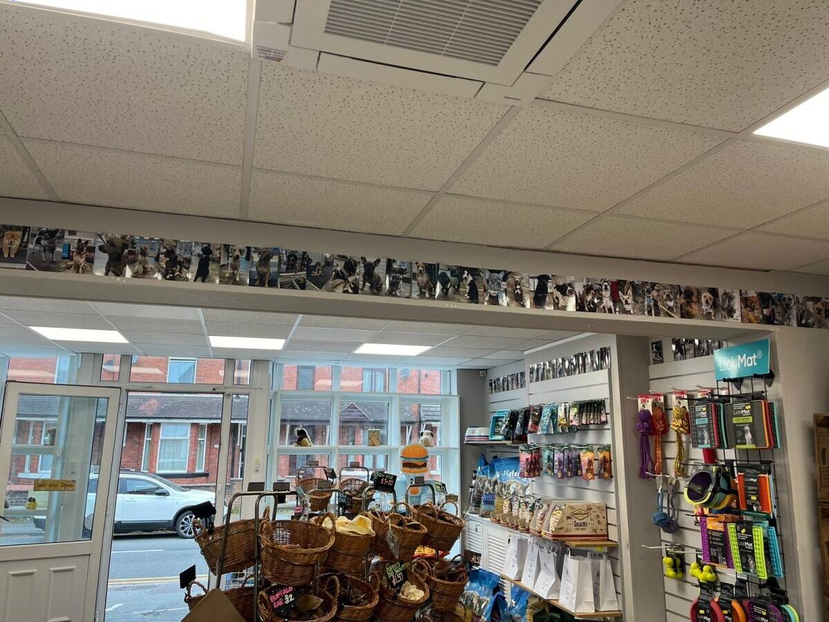 Dog food shop for sale in Crewe, Cheshire Photo 4