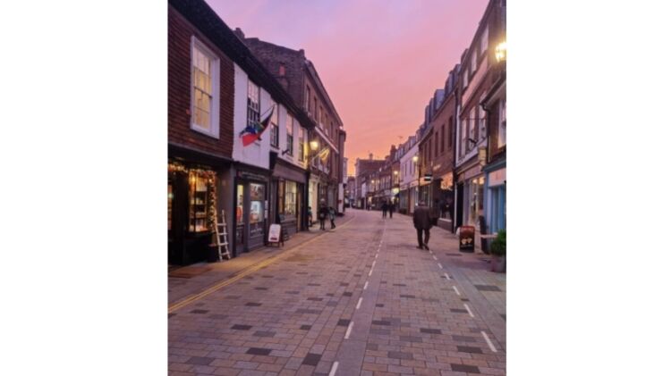 Established Pet Boutique and Grooming Business Located in Twickenham