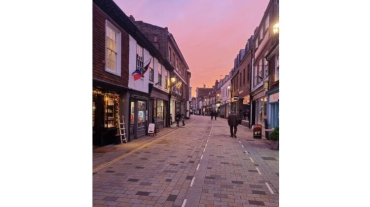 Established Pet Boutique and Grooming Business Located in Twickenham Photo 4