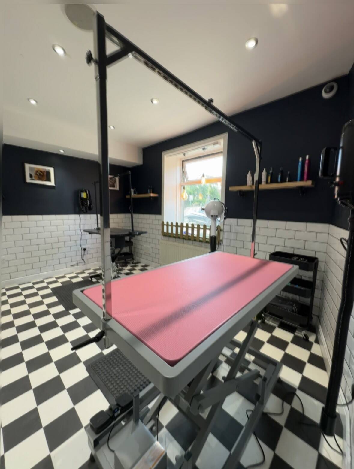 Dog Grooming Business Horsforth, Leeds Photo 5