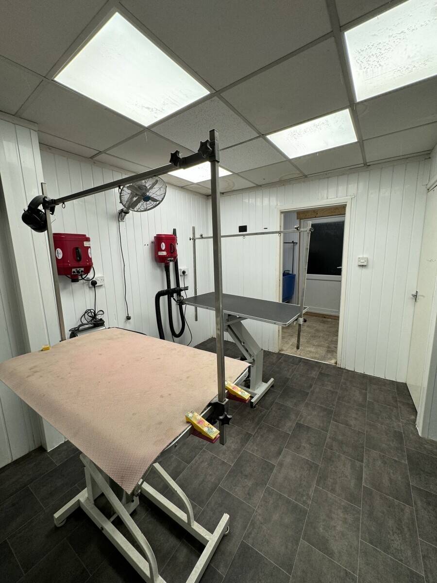 Dog grooming business for sale Tonypandy  Photo 4