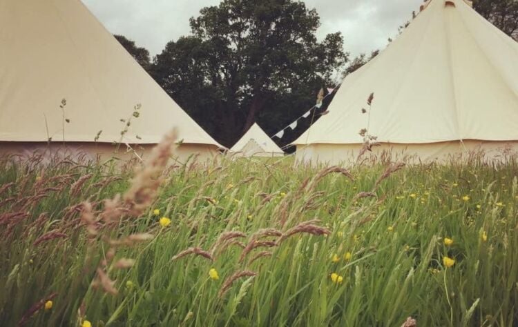 Nationwide Glamping Tent Hire and Event Business *** PRICED REDUCED *** Photo 4