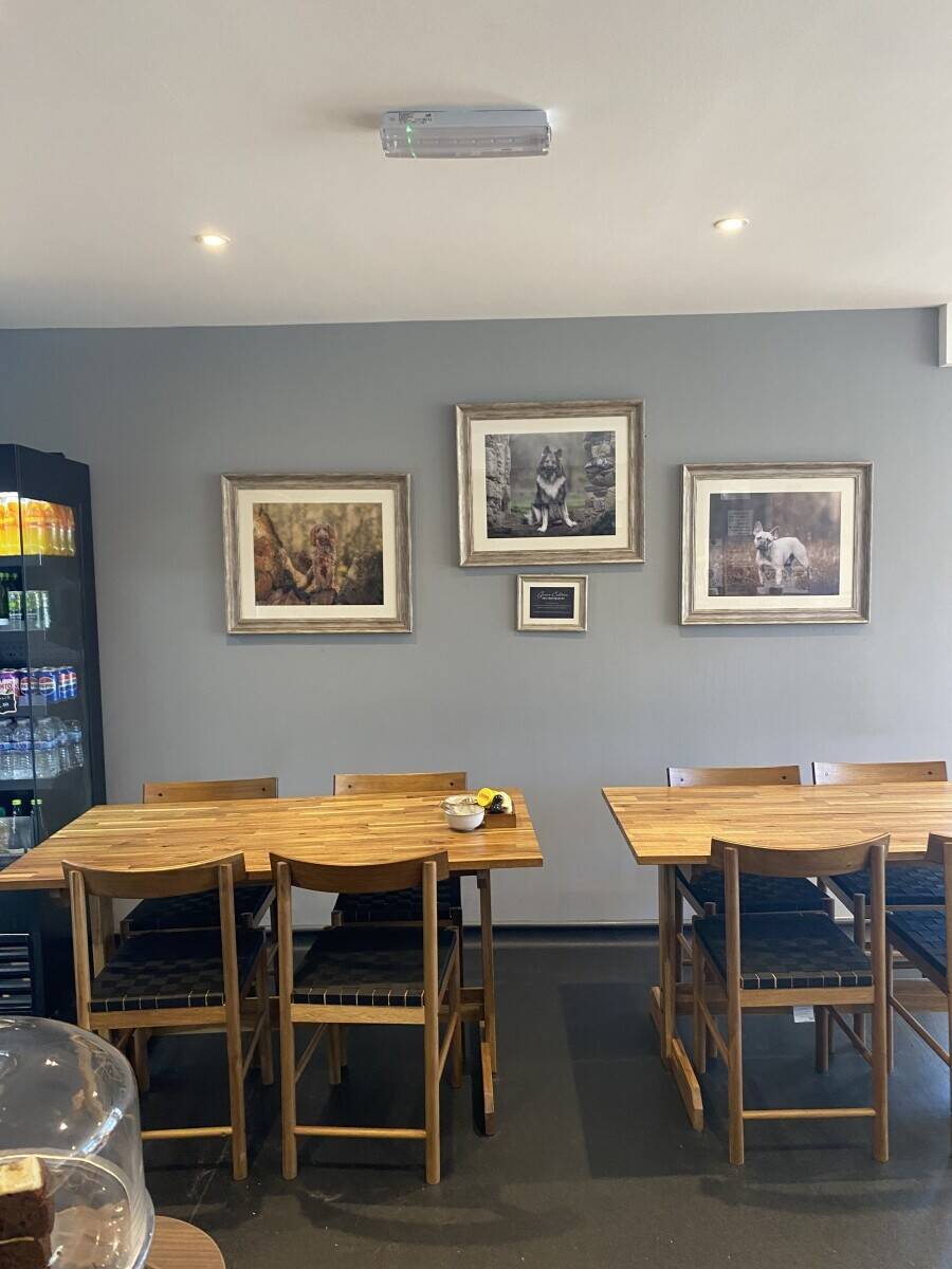 Dog friendly cafe