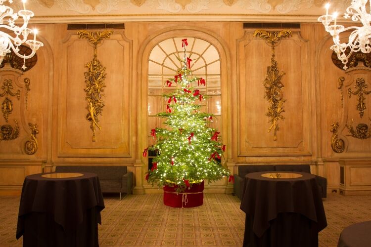 Established Install Company of Seasonal Decor Photo 4