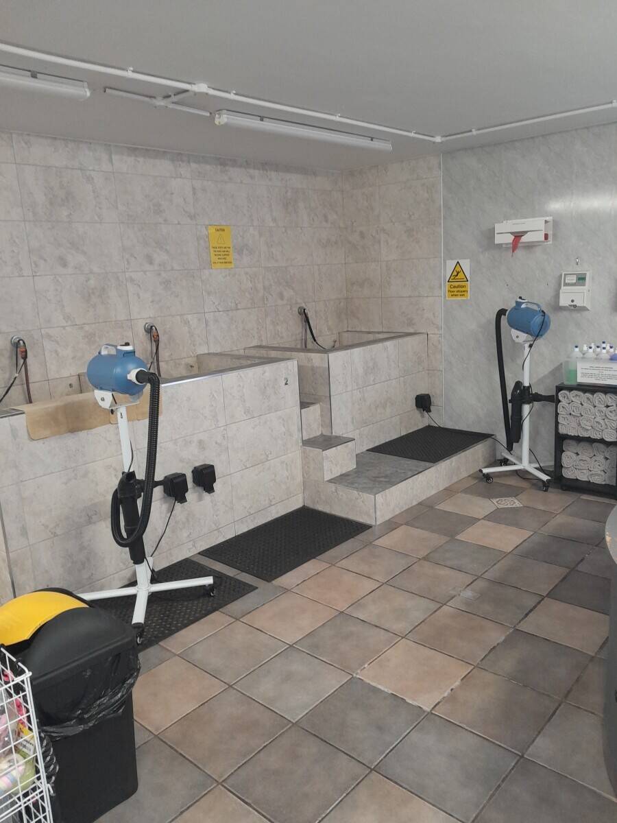 Doggie Wash and Grooming in Dorchester