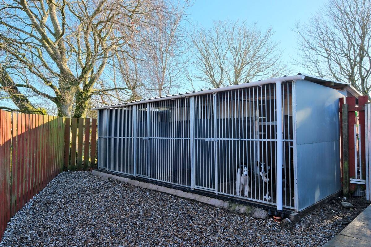 Luxury Boarding Kennel and Stunning 4 Bedroom Home Photo 4