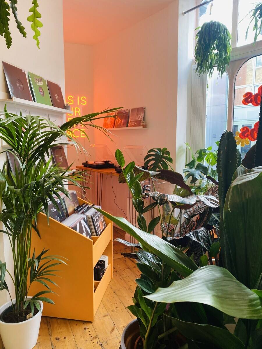 Shrubs & Dubs! The first plant and record shop!