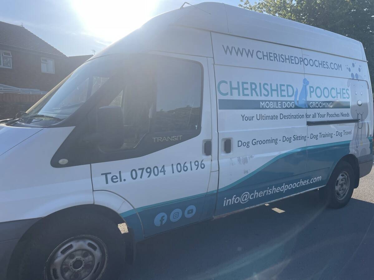 Mobile Dog Grooming Van