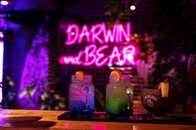 Darwin & Bear Photo 4