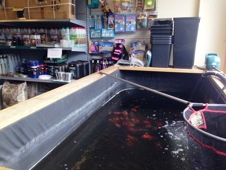 Angling & Fish Supplies Shop - Grimsby