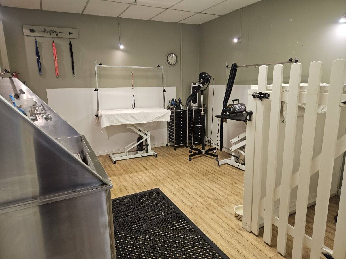 Dog grooming business in Henfield  Photo 4