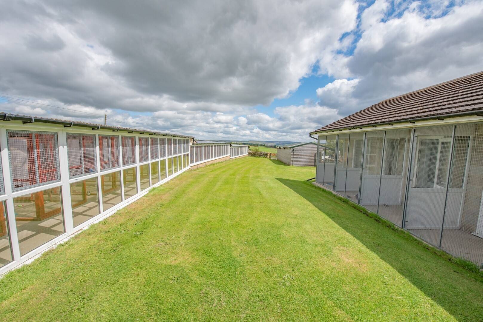 Very Well-known, Family Run, Highly Regarded Cattery