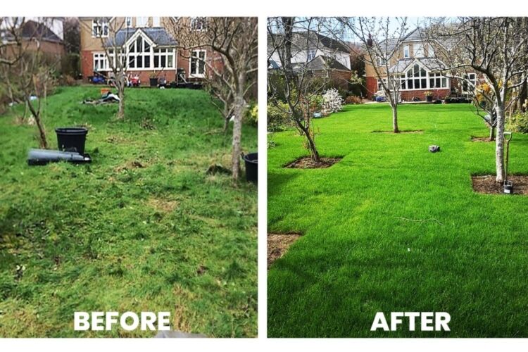 Relocatable Landscape Gardening Business Photo 4