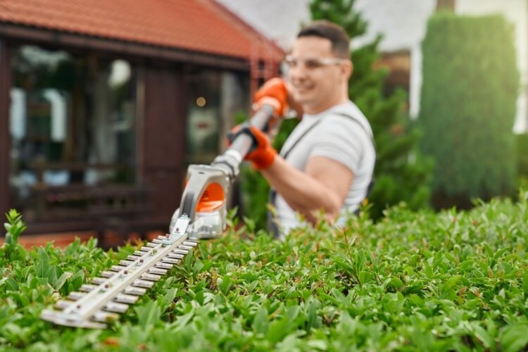 Established Garden Maintenance & Landscaping Business, Essex & Suffolk