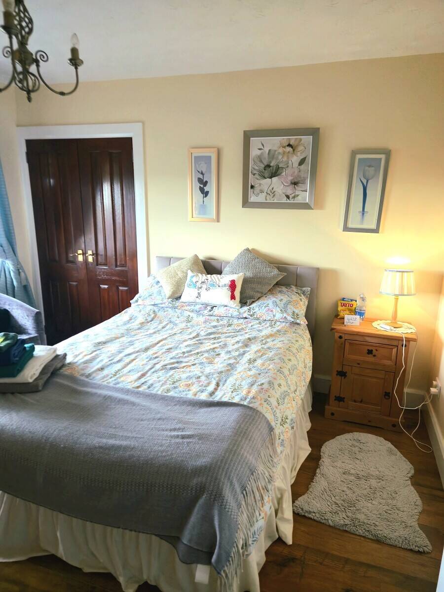 Successful Chalet-Style B&B with Stunning Lough Neagh Views – Turnkey Opportunity Photo 4