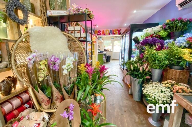 Established Florist Business Photo 4