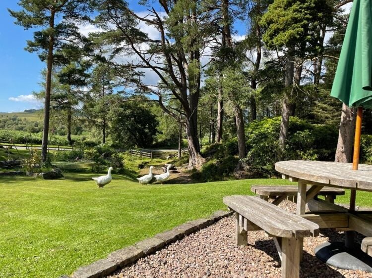 Old Pines Hotel & Restaurant, Spean Bridge