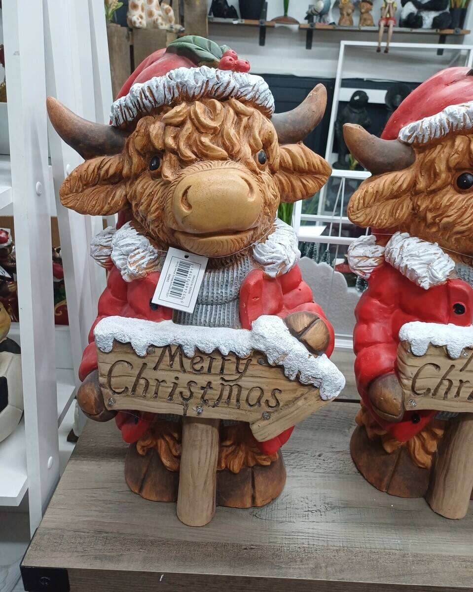 HUGELY POPULAR, GIFT STORE & GARDEN CENTRE, WARSOP  ‘FOR SALE’ Photo 4
