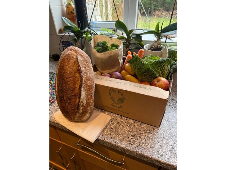 Turnkey Produce Delivery Business with Massive Growth Potential Photo 4