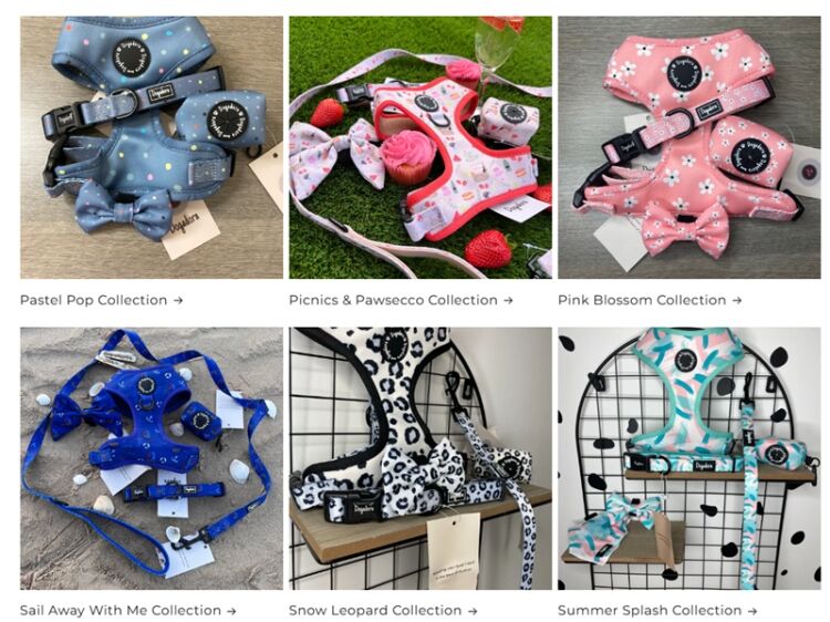 Unleash the Potential of This Established Online Dog Brand